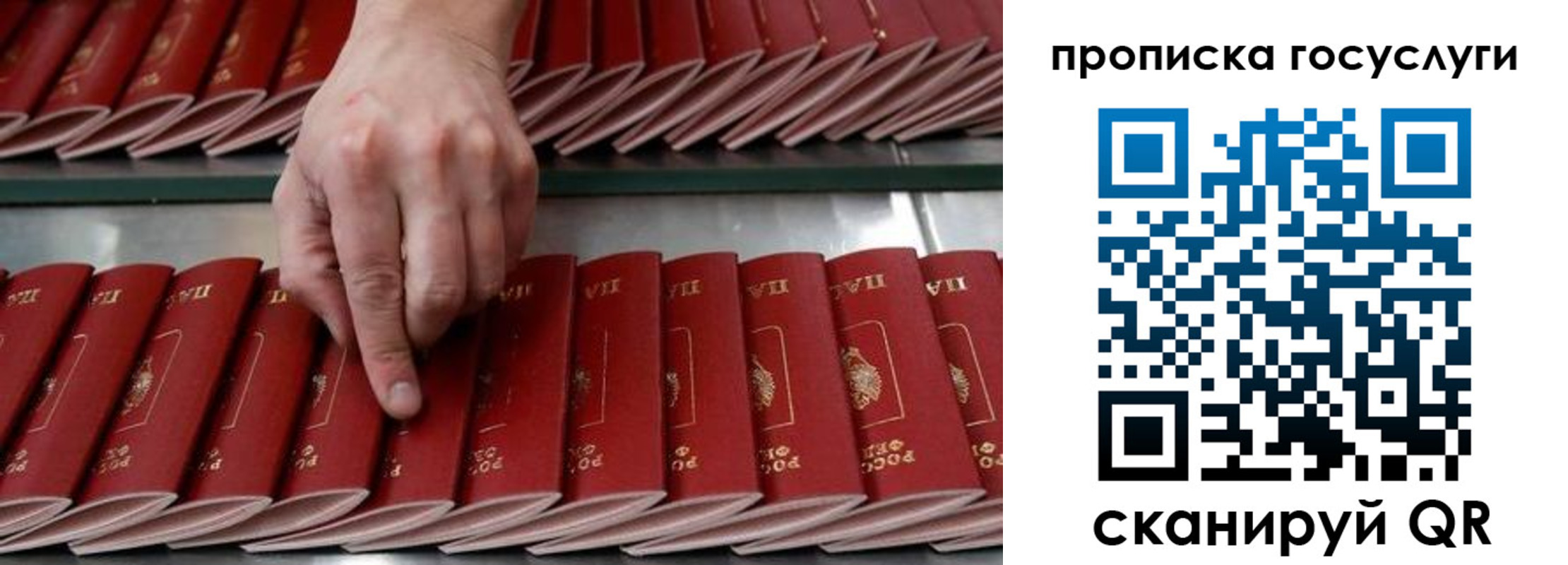 прописка для работы в Ярославле